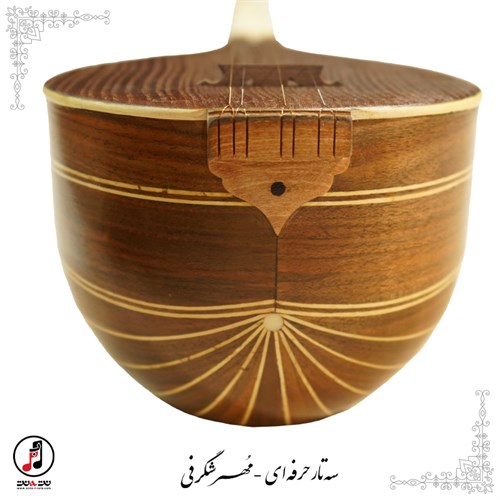  سه تار مهر شگرفی  SE-321